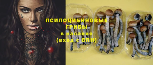 молекула духа Армянск