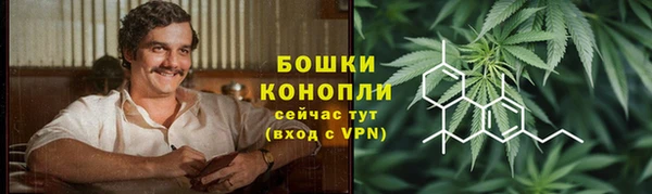 амф Аркадак