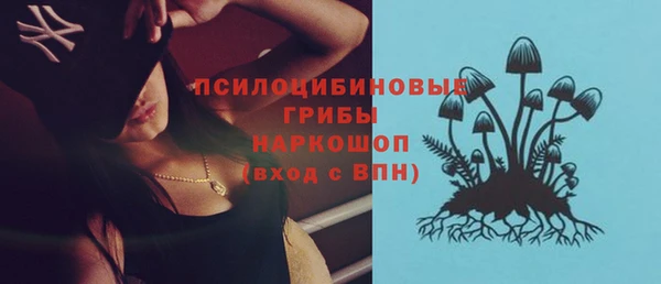 амф Аркадак