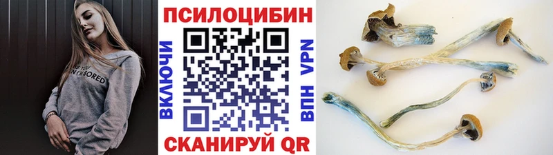 Галлюциногенные грибы мухоморы закладки Боровичи